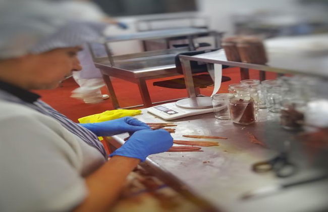 Santoña: Anchovy Factory and Boat Trip - Photo 3
